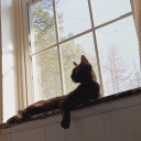 welp-end-times-v2 avatar