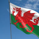 welsh-dragon-offical avatar