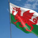 welsh-dragon-official avatar