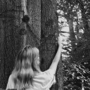 weltenstuerme avatar