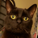 wembleygoodboy avatar