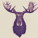 wendegothemoose-blog avatar