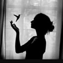 wenn-ich-bleibe avatar