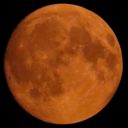 were-is-the-moon avatar