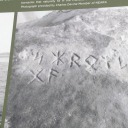 werewolf-pack-system avatar