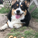 werewolves1019 avatar