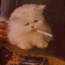 wesleyscreaming avatar