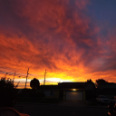 westcoastnomad avatar