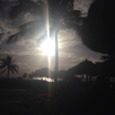 westcoastwanders avatar