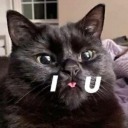 westerlies-winds avatar