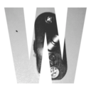 westernoctopus avatar