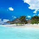 westindiangirls avatar