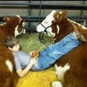 wet-daydreams avatar