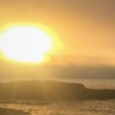 wet-n-wild-in-cali avatar