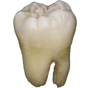 wetass-ratsratsrats avatar