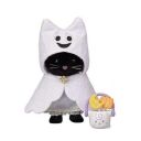 wetcatcollector avatar