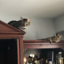 wethe-poisonedyouth avatar