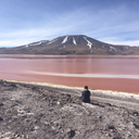 wevegotthe-dreamersdisease avatar