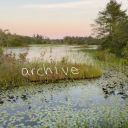 weweantica-old avatar