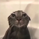 weyhinipakwahid avatar