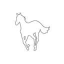 wh1tepony-blog avatar