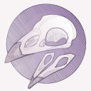 whalesbone avatar