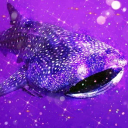 whalesharksmile avatar