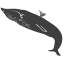 whaleskine avatar