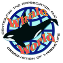 whalesrule avatar