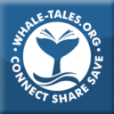 whaletalesorg avatar