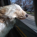 what-a-beautiful-mess avatar