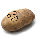 what-a-generic-potato avatar