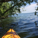 what-a-strange-feeling avatar