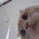 what-art-thou-to-do avatar