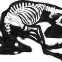 what-else-is-new-420 avatar