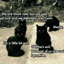 what-even-dude avatar