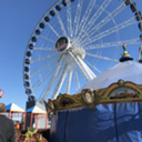 what-even-is-this-anymore avatar