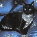 what-eye-want avatar