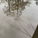 what-happens-in-the-end avatar