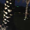 what-humanity avatar