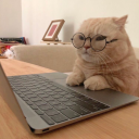 what-inna-box avatar