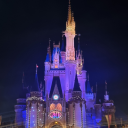 what-is-this-random-stuff avatar