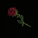 what-r-we-even-doing avatar