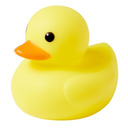 what-the-ducks avatar