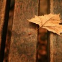 what-the-f-is-going-on avatar