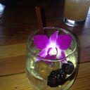 what-the-hellblog avatar