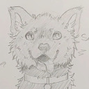 whataboutscout avatar