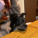 whatafcknnerd avatar