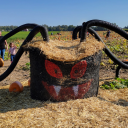 whatafrenchmistake avatar