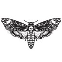 whatandroidsdreamof avatar